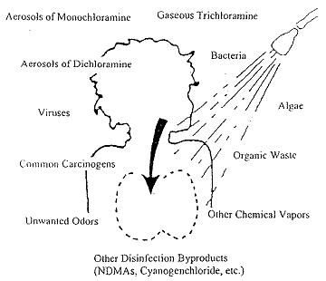 toxicshowers_Chloramine